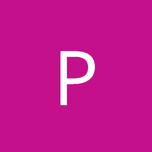 palisamenet94