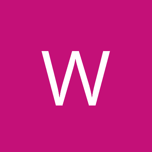 Wraithflay51