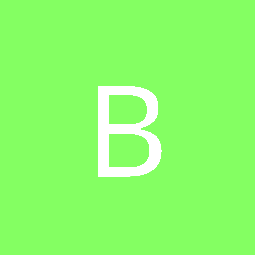 berenice80